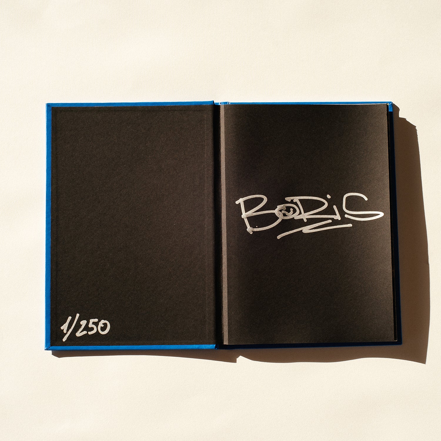 (SALE)(Signed) REMOTE SENSING - COLLECTOR EDITION PHOTOBOOK